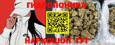стаф Кинель