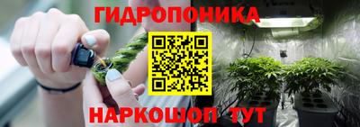 ECSTASY Кимры