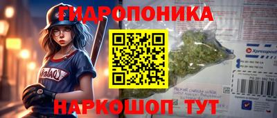 ECSTASY Кимры
