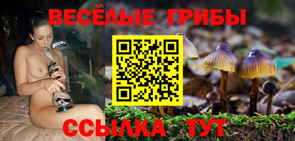 Конаково  магазин продажи наркотиков  Галлюциногенные грибы мицелий  Вход с VPN  Псилоцибиновые грибы мицелий 